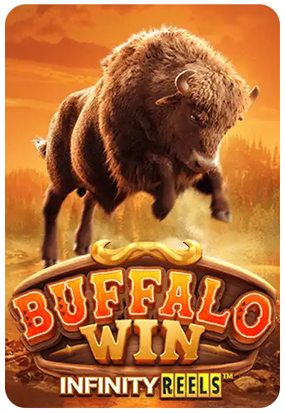 buffalo-win (1)